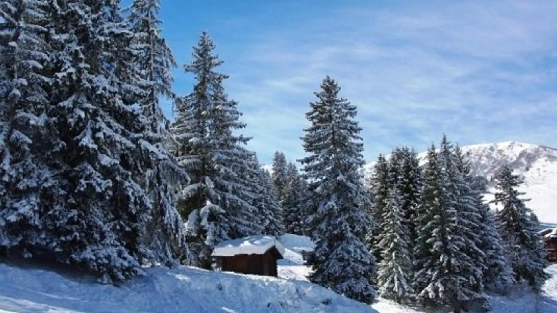 아파트 Appartement Renove 3 Pieces Mezzanine A 50M Des Pistes, Balcon, Lave-Linge Et Casier A Skis - Fr-1-356-206 벨모렐